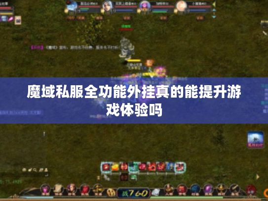 魔域私服全功能外挂真的能提升游戏体验吗 魔域私服全功能外挂真的能提升游戏体验吗