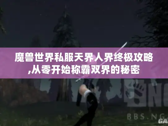 魔兽世界私服天界人界终极攻略,从零开始称霸双界的秘密