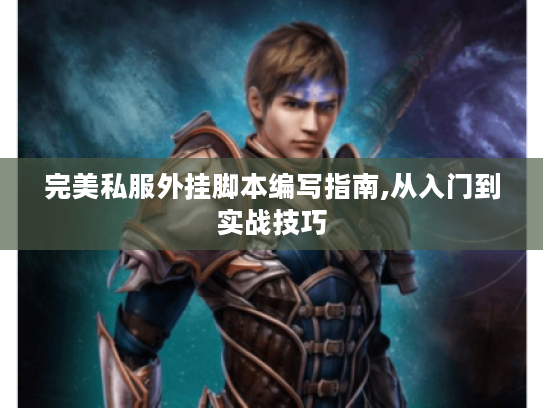 完美私服外挂脚本编写指南,从入门到实战技巧