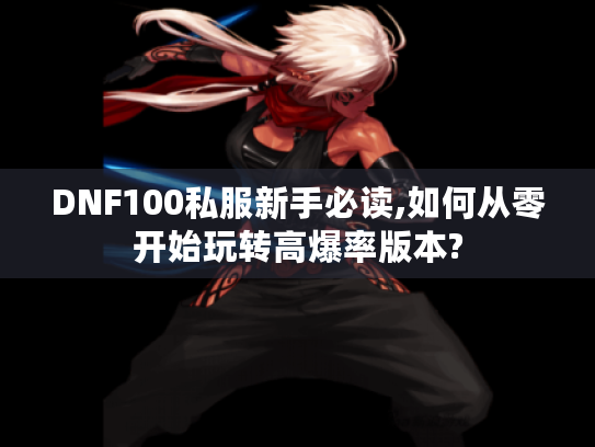 DNF100私服新手必读,如何从零开始玩转高爆率版本? DNF100私服新手必读,如何从零开始玩转高爆率版本?