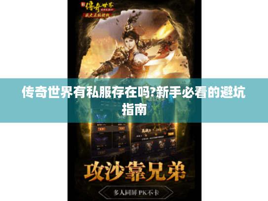 传奇世界有私服存在吗?新手必看的避坑指南