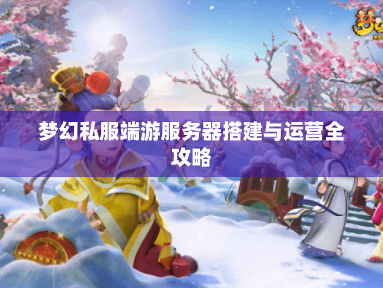 梦幻私服端游服务器搭建与运营全攻略 梦幻私服端游服务器搭建与运营全攻略