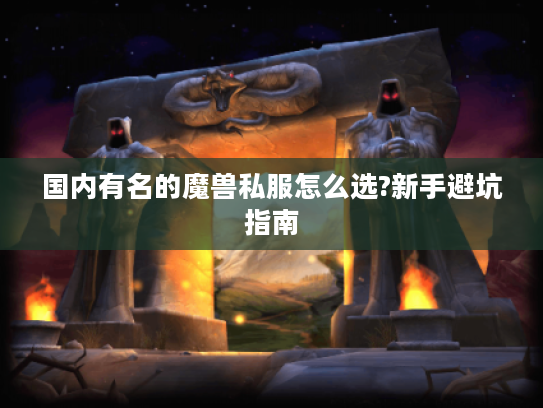 国内有名的魔兽私服怎么选?新手避坑指南 国内有名的魔兽私服怎么选?新手避坑指南