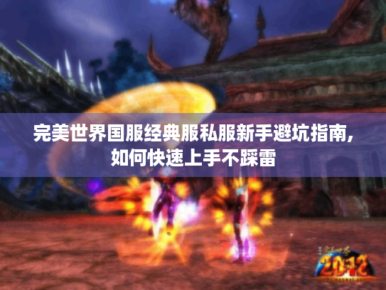 完美世界国服经典服私服新手避坑指南,如何快速上手不踩雷