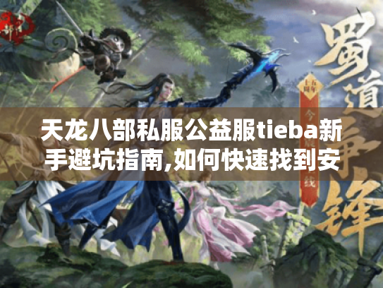 天龙八部私服公益服tieba新手避坑指南,如何快速找到安全资源