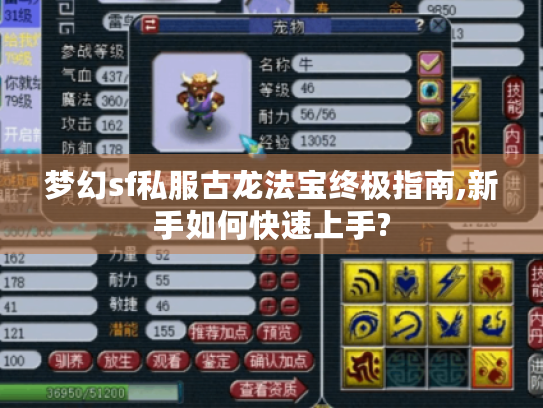 梦幻sf私服古龙法宝终极指南,新手如何快速上手? 梦幻sf私服古龙法宝终极指南,新手如何快速上手?