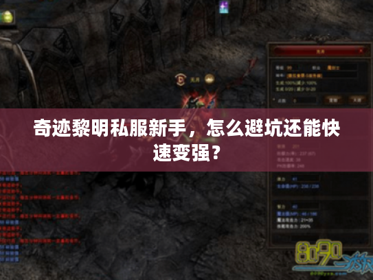 奇迹黎明私服新手，怎么避坑还能快速变强？