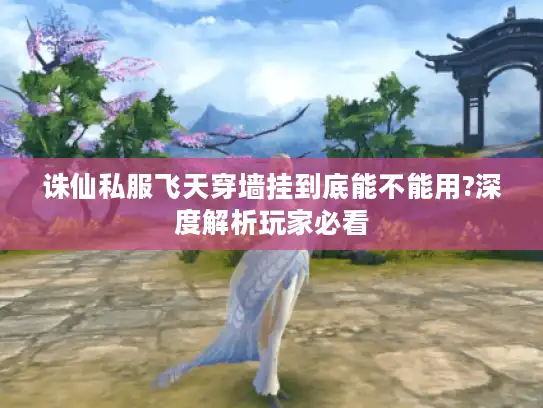 诛仙私服飞天穿墙挂到底能不能用?深度解析玩家必看