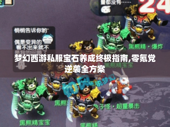 梦幻西游私服宝石养成终极指南,零氪党逆袭全方案 梦幻西游私服宝石养成终极指南,零氪党逆袭全方案