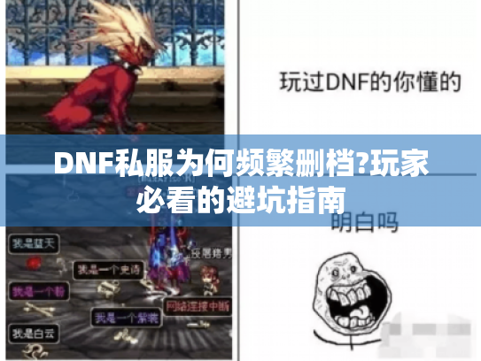 DNF私服为何频繁删档?玩家必看的避坑指南 DNF私服为何频繁删档?玩家必看的避坑指南