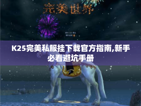 K25完美私服挂下载官方指南,新手必看避坑手册 K25完美私服挂下载官方指南,新手必看避坑手册