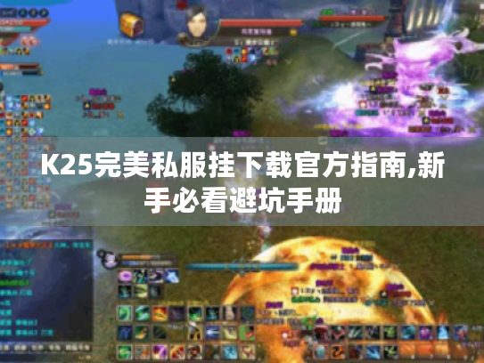 K25完美私服挂下载官方指南,新手必看避坑手册 K25完美私服挂下载官方指南,新手必看避坑手册