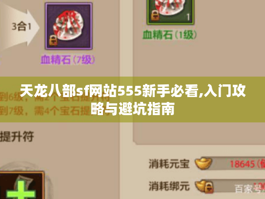 天龙八部sf网站555新手必看,入门攻略与避坑指南 天龙八部sf网站555新手必看,入门攻略与避坑指南