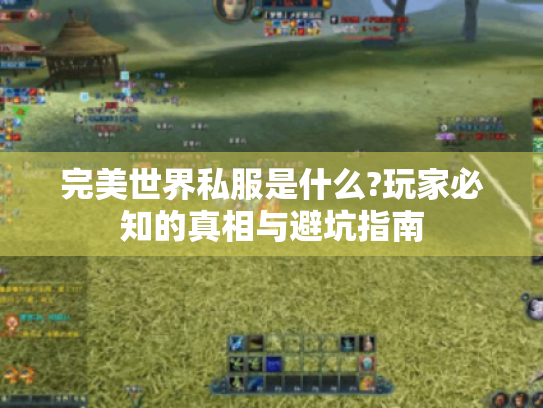 完美世界私服是什么?玩家必知的真相与避坑指南