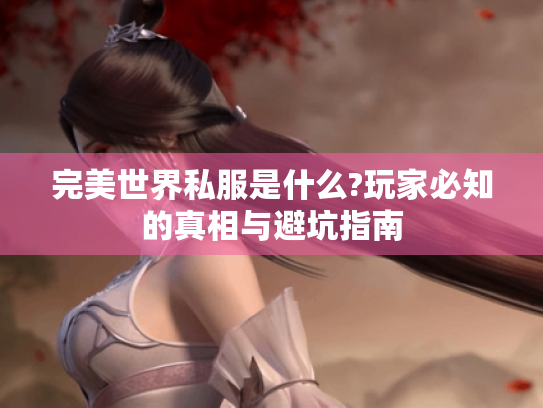 完美世界私服是什么?玩家必知的真相与避坑指南