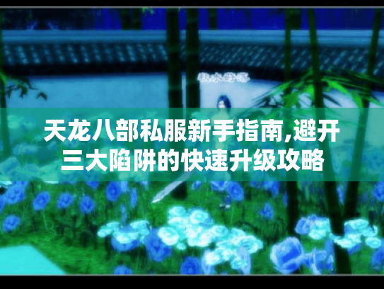 天龙八部私服新手指南,避开三大陷阱的快速升级攻略