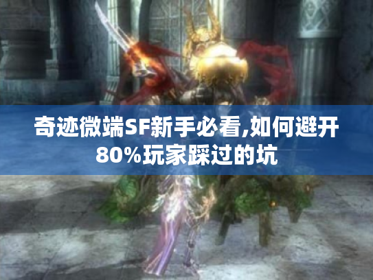 奇迹微端SF新手必看,如何避开80%玩家踩过的坑 奇迹微端SF新手必看,如何避开80%玩家踩过的坑