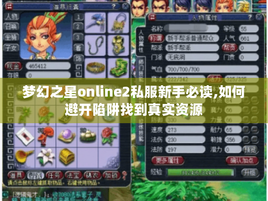 梦幻之星online2私服新手必读,如何避开陷阱找到真实资源