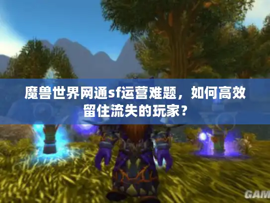 魔兽世界网通sf运营难题，如何高效留住流失的玩家？
