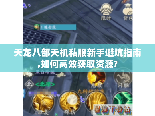 天龙八部天机私服新手避坑指南,如何高效获取资源?