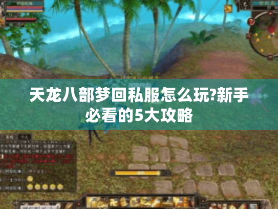 天龙八部梦回私服怎么玩?新手必看的5大攻略