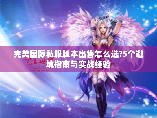 完美国际私服版本出售怎么选?5个避坑指南与实战经验 完美国际私服版本出售怎么选?5个避坑指南与实战经验