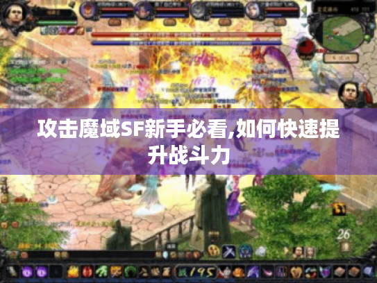 攻击魔域SF新手必看,如何快速提升战斗力 攻击魔域SF新手必看,如何快速提升战斗力
