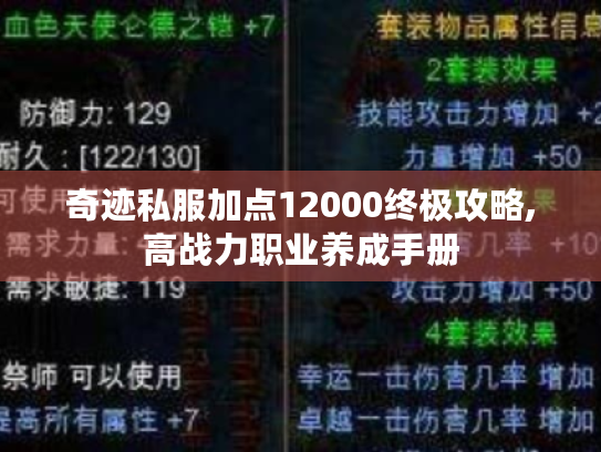 奇迹私服加点12000终极攻略,高战力职业养成手册