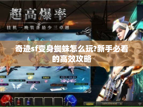奇迹sf变身蜘蛛怎么玩?新手必看的高效攻略