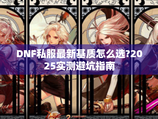 DNF私服最新基质怎么选?2025实测避坑指南 DNF私服最新基质怎么选?2025实测避坑指南