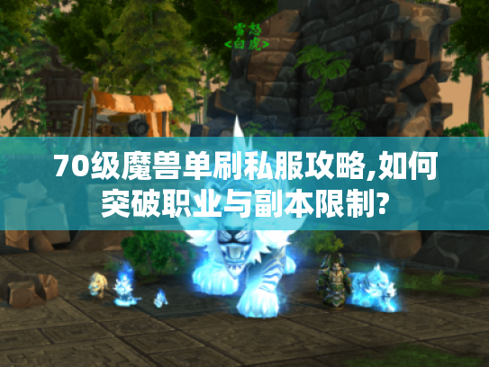 70级魔兽单刷私服攻略,如何突破职业与副本限制?