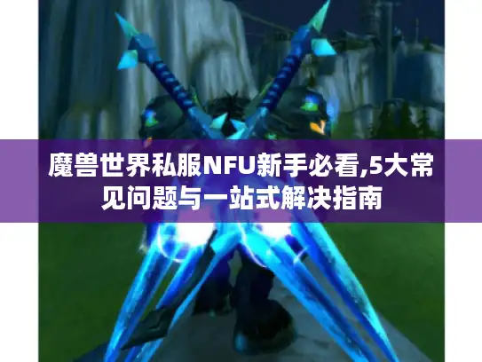 魔兽世界私服NFU新手必看,5大常见问题与一站式解决指南