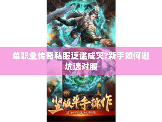 单职业传奇私服泛滥成灾?新手如何避坑选对服