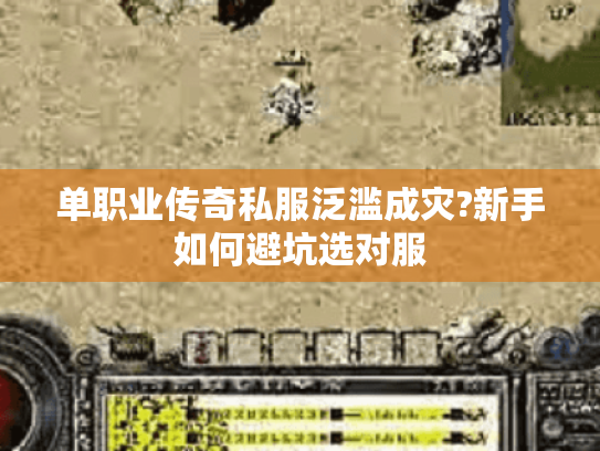 单职业传奇私服泛滥成灾?新手如何避坑选对服