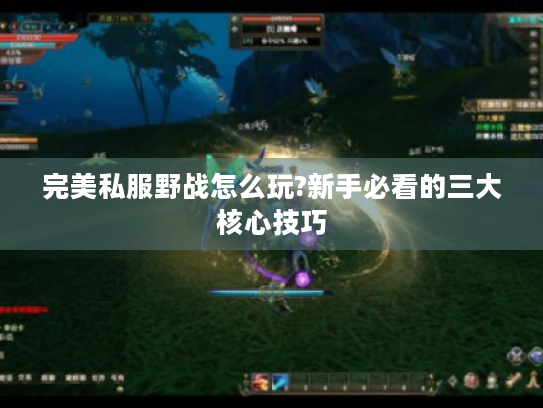 完美私服野战怎么玩?新手必看的三大核心技巧