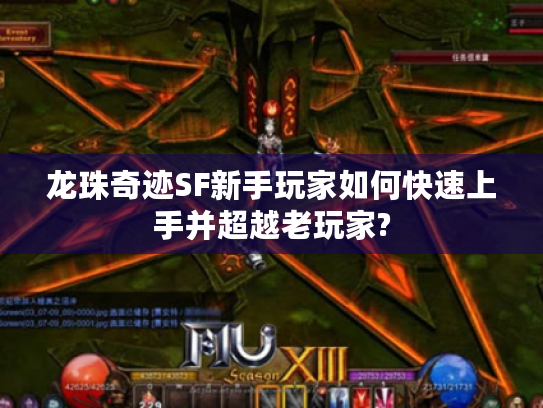 龙珠奇迹SF新手玩家如何快速上手并超越老玩家?