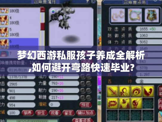 梦幻西游私服孩子养成全解析,如何避开弯路快速毕业? 梦幻西游私服孩子养成全解析,如何避开弯路快速毕业?