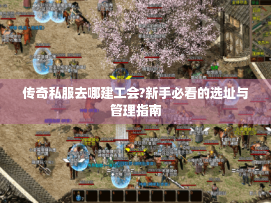 传奇私服去哪建工会?新手必看的选址与管理指南 传奇私服去哪建工会?新手必看的选址与管理指南