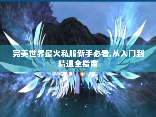 完美世界最火私服新手必看,从入门到精通全指南 完美世界最火私服新手必看,从入门到精通全指南