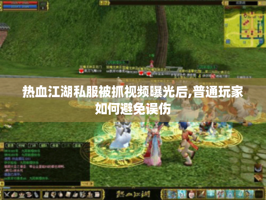 热血江湖私服被抓视频曝光后,普通玩家如何避免误伤