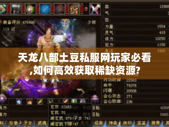 天龙八部土豆私服网玩家必看,如何高效获取稀缺资源?