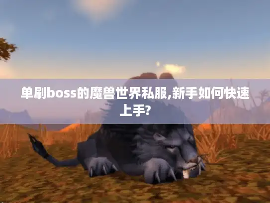 单刷boss的魔兽世界私服,新手如何快速上手? 单刷boss的魔兽世界私服,新手如何快速上手?