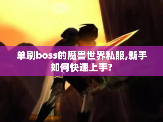 单刷boss的魔兽世界私服,新手如何快速上手? 单刷boss的魔兽世界私服,新手如何快速上手?