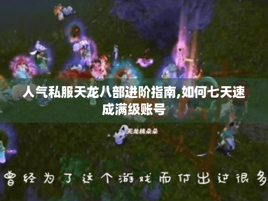 人气私服天龙八部进阶指南,如何七天速成满级账号 人气私服天龙八部进阶指南,如何七天速成满级账号