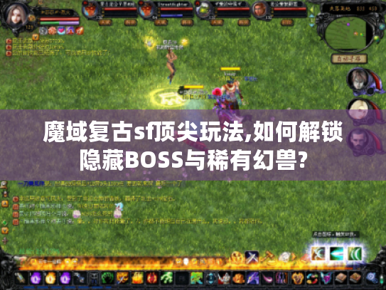 魔域复古sf顶尖玩法,如何解锁隐藏BOSS与稀有幻兽? 魔域复古sf顶尖玩法,如何解锁隐藏BOSS与稀有幻兽?