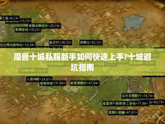 魔兽十城私服新手如何快速上手?十城避坑指南