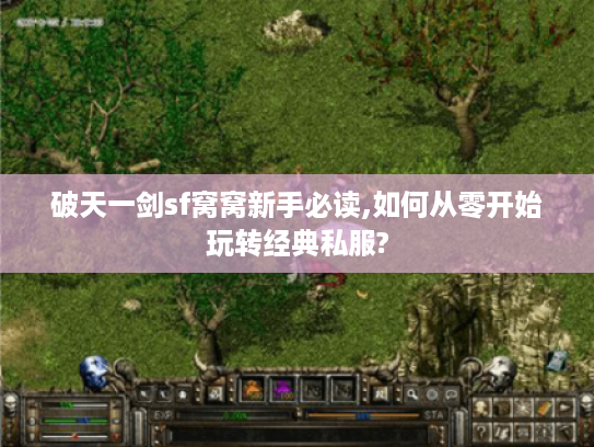 破天一剑sf窝窝新手必读,如何从零开始玩转经典私服? 破天一剑sf窝窝新手必读,如何从零开始玩转经典私服?