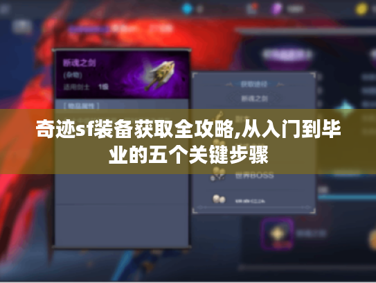 奇迹sf装备获取全攻略,从入门到毕业的五个关键步骤