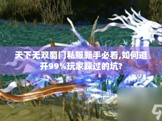 天下无双蜀门私服新手必看,如何避开99%玩家踩过的坑? 天下无双蜀门私服新手必看,如何避开99%玩家踩过的坑?
