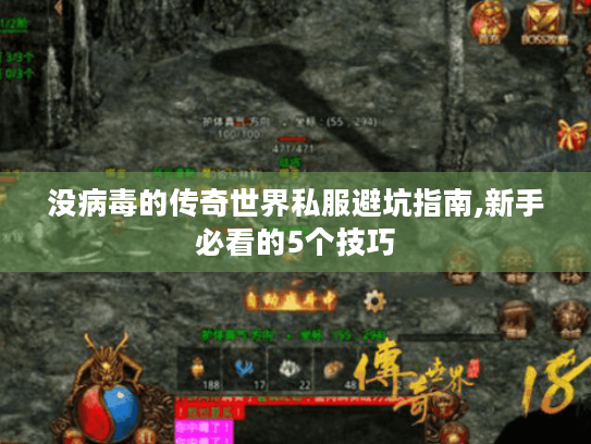 没病毒的传奇世界私服避坑指南,新手必看的5个技巧
